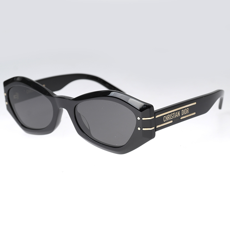 디올 선글라스(dior signature B1U)